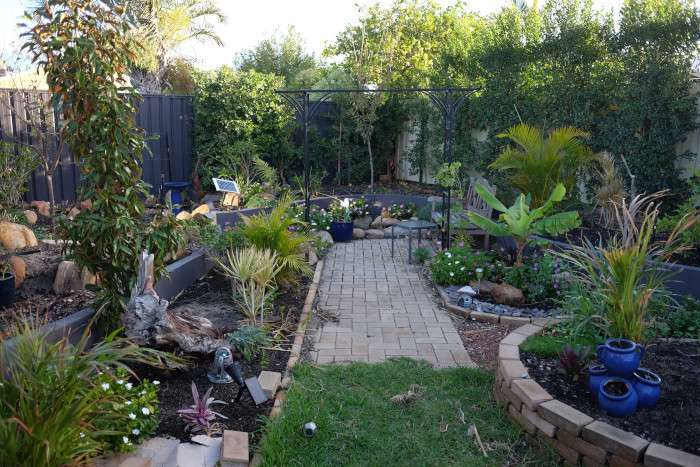 Garden planted out with tropical plants