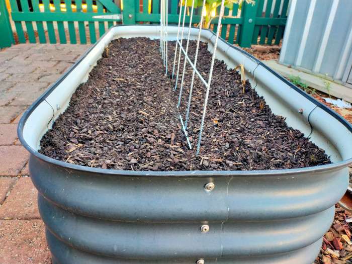 Raised garden bed with trellis in the middle.